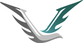 Vid logo